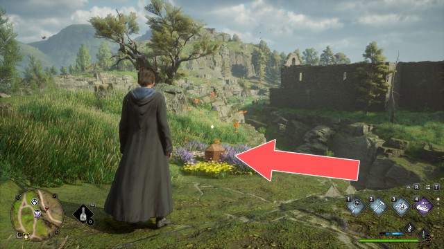 Butterflies #13 Chest (Conjuration)