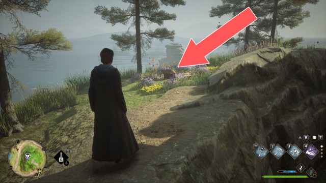 Butterflies #14 Chest (Conjuration)