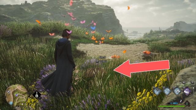 Butterflies #15 Chest (Conjuration)