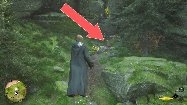 Butterflies #5 Chest (Conjuration)