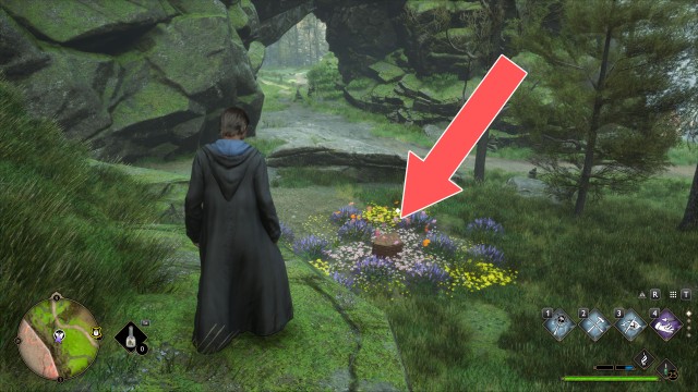 Butterflies #6 Chest (Conjuration)