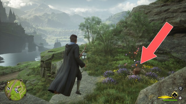 Butterflies #7 Chest (Conjuration)