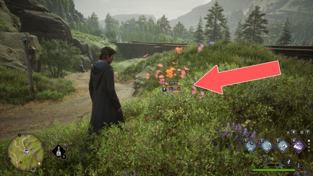 Butterflies #8 Chest (Conjuration)