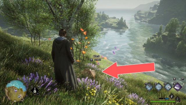 Butterflies #9 Chest (Conjuration)