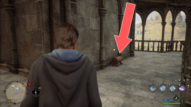 Collection Chest (Wand Handle)