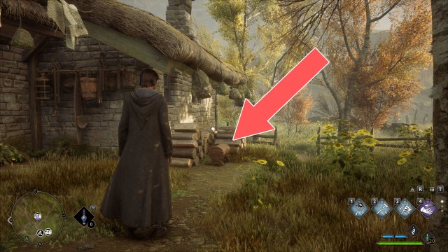 Collection Chest (Wand Handle)