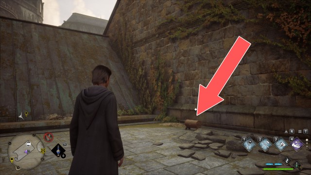 Collection Chest (Wand Handle)