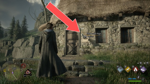 Field Guide Page (Abandoned Shop)