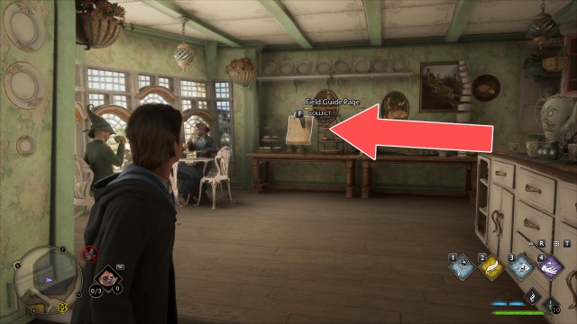 Field Guide Page (Tea Shop Decor)