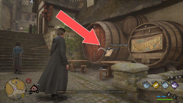 Field Guide Page (Butterbeer Barrels)