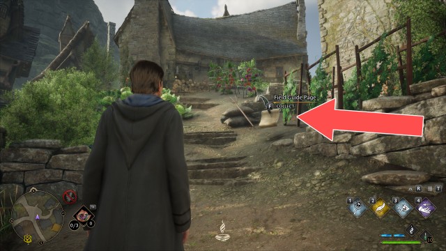 Field Guide Page (Hogsmeade Community Garden)