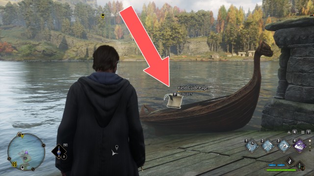 Field Guide Page (Black Lake)