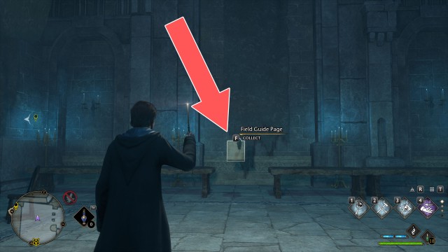 Field Guide Page (Deathday Party Room)