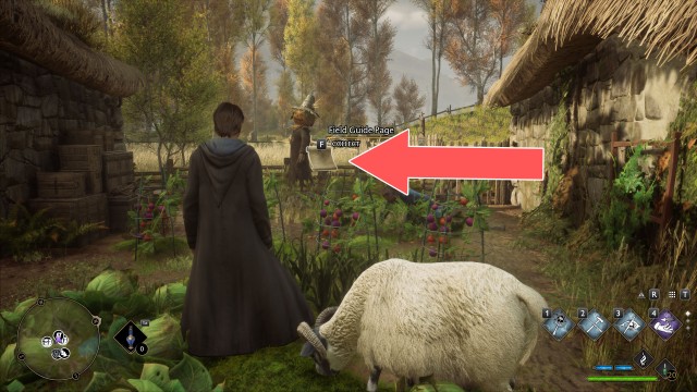 Field Guide Page (Enchanted Scarecrow)