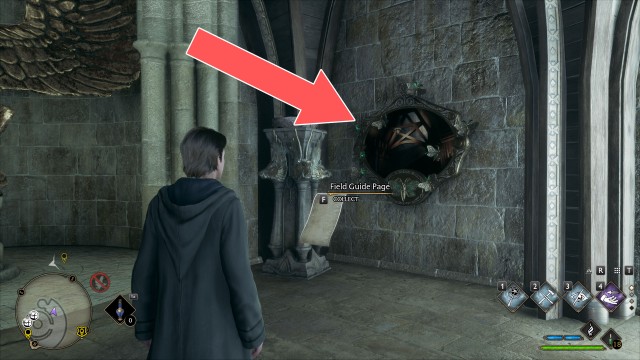 Field Guide Page (Moth Frame Hogwarts #11)