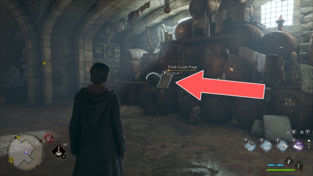 Field Guide Page (House-elf Living Quarters)