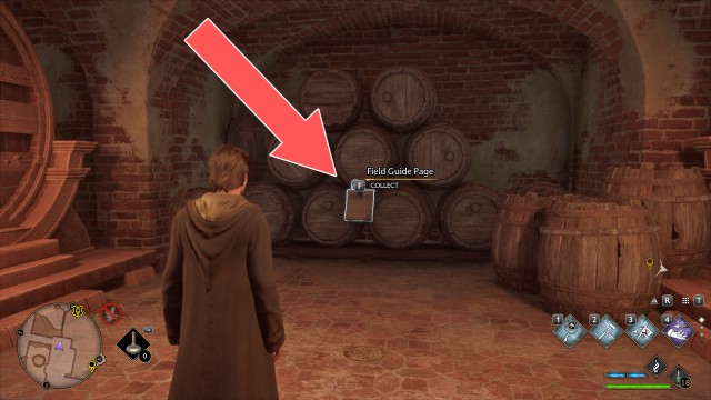 Field Guide Page (Hufflepuff Barrels)