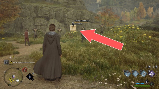 Field Guide Page (Practice Dummies)