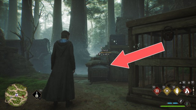 Collection Chest (Trait)