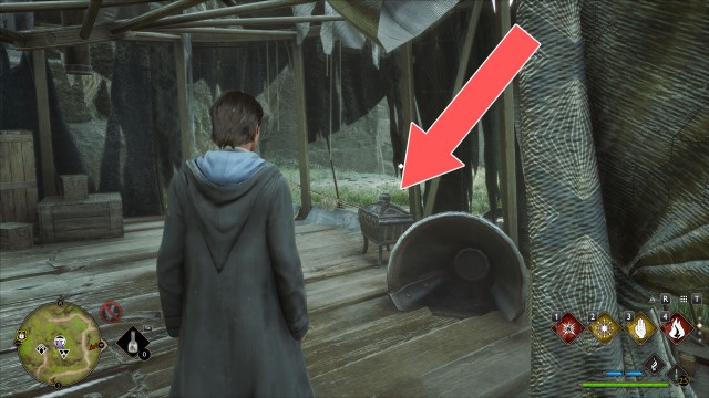 Collection Chest (Trait)