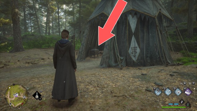 Collection Chest (Trait)