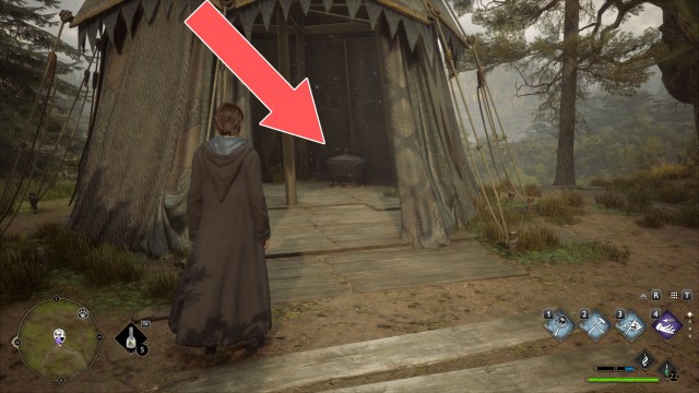 Collection Chest (Trait)