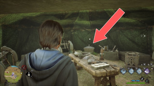 Collection Chest (Trait)