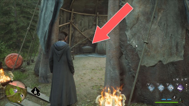 Collection Chest (Trait)