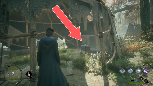 Collection Chest (Trait)