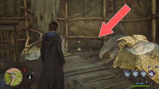 Collection Chest (Trait)