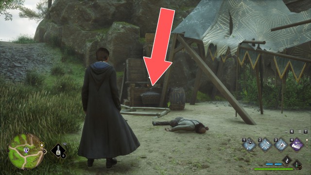 Collection Chest (Trait)