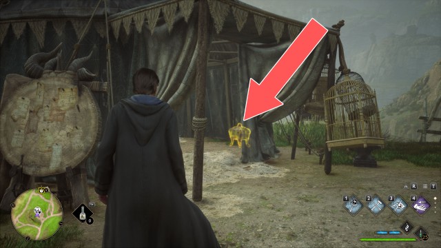 Collection Chest (Trait)