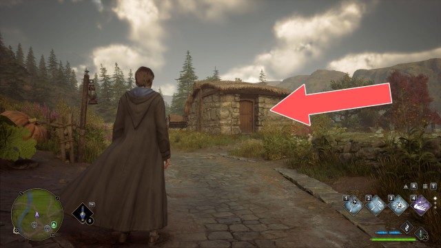 Collection Chest (Wand Handle)