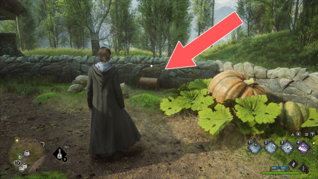 Collection Chest (Wand Handle)