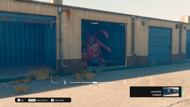 Cabbit