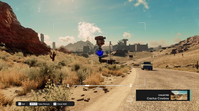 Cactus Cowboy
