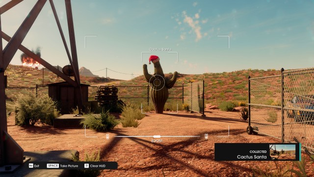 Cactus Santa