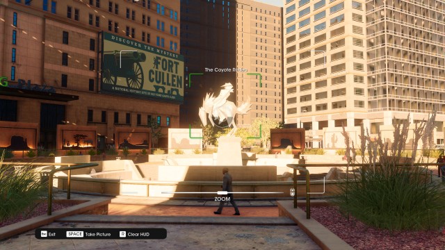 The Coyote Rodeo