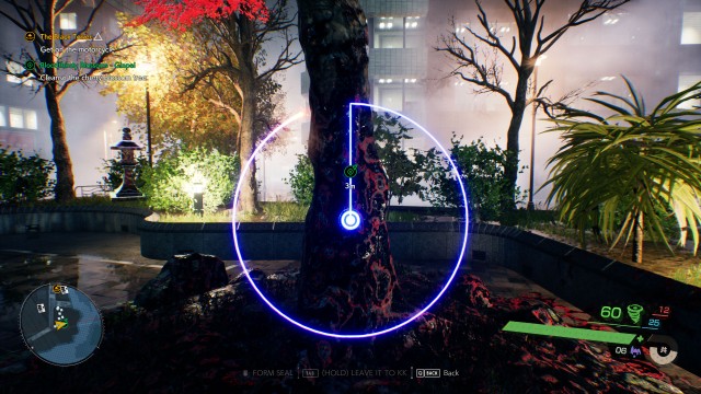 Cleanse the cherry blossom tree