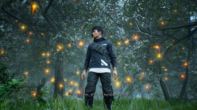 Go to the pillar of light's heart