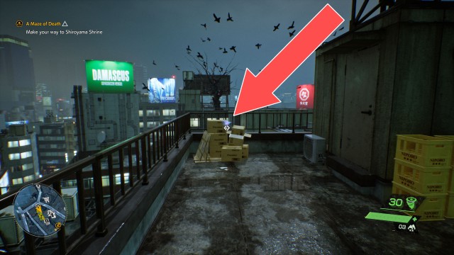 Nether Rice Ball (Umeboshi)