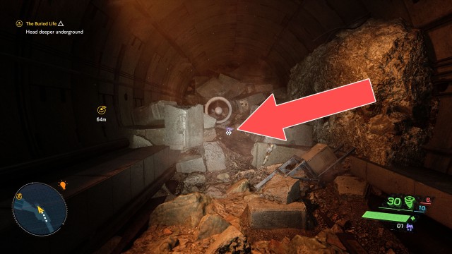 Nether Rice Ball (Umeboshi)