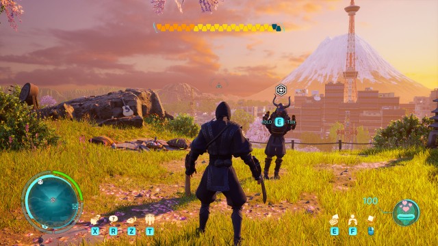 Crypto, Hired Gun - Shearing the Llama
