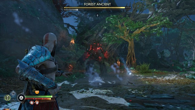 Forest Ancient