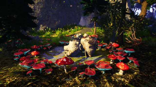 Fairy Rings