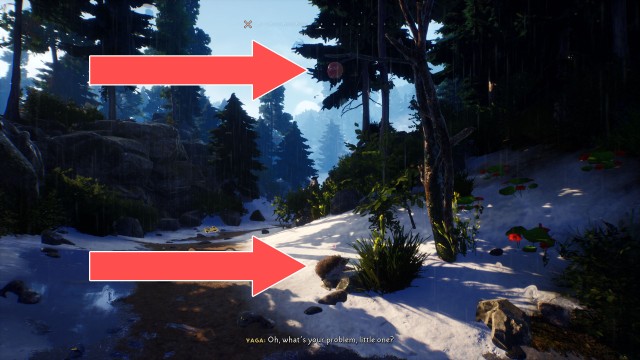 Hunt a deer to get some meat