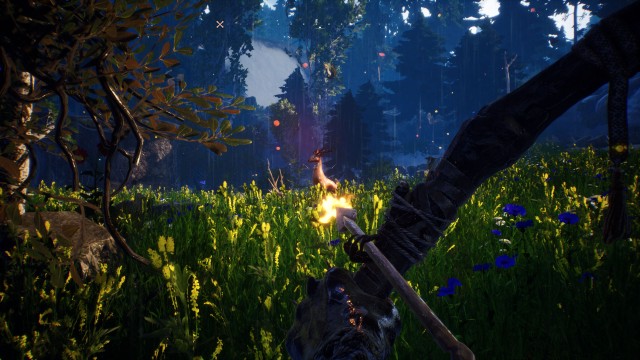 Hunt a deer to get some meat