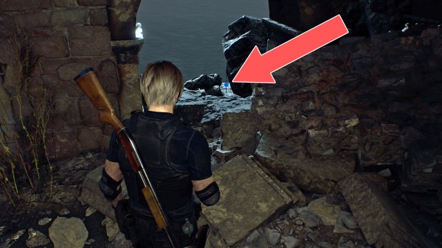 Blue Medallion - Request 6 (3/5)