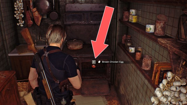 Brown Chicken Egg (Owen)