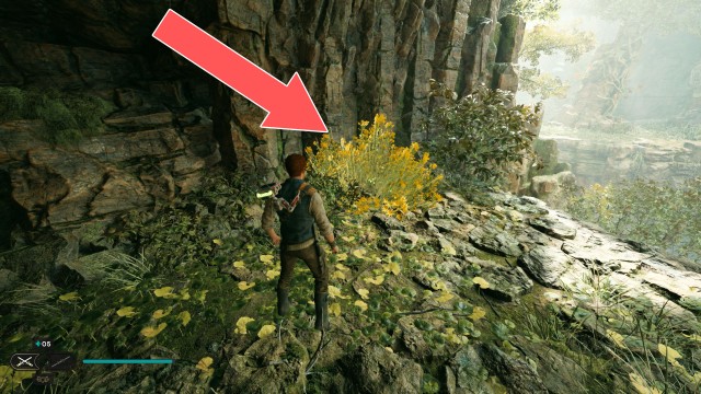 Basalt Rift Seed Pod 1/5